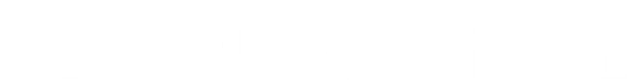 NPM Capital NPM Capital