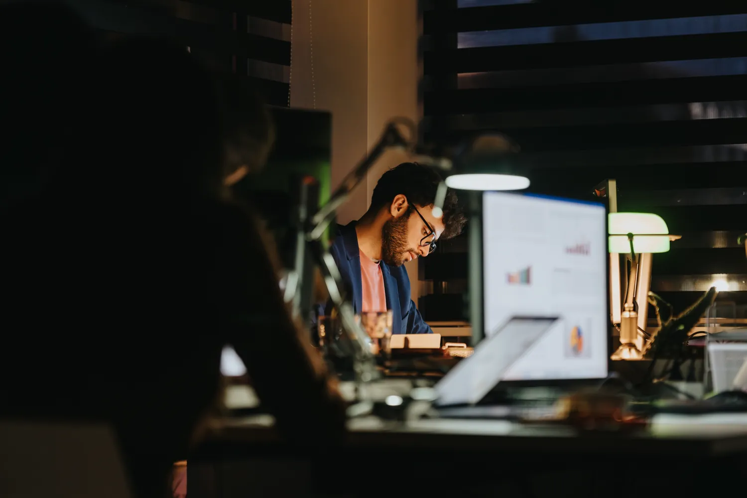 Software Due Diligence Integration Consultancy